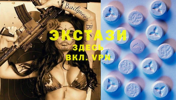 прущие грибы Апатиты