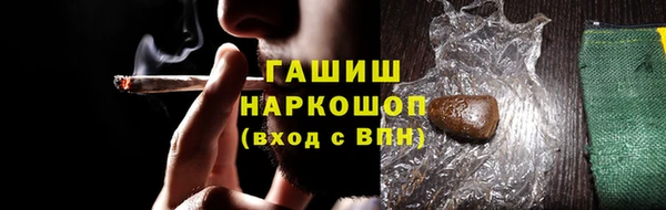 прущие грибы Апатиты