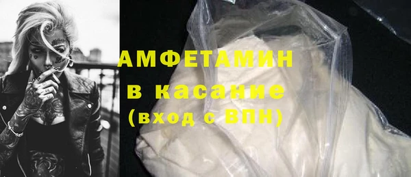 прущие грибы Апатиты