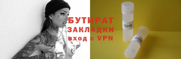 прущие грибы Апатиты