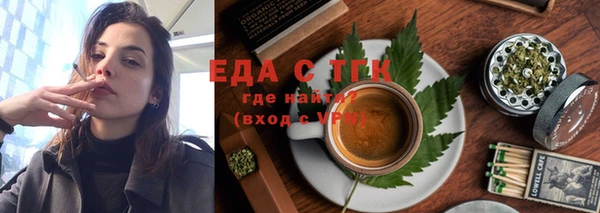 прущие грибы Апатиты