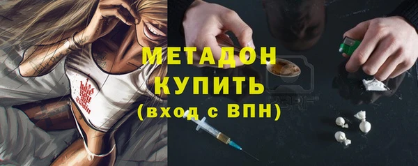 прущие грибы Апатиты