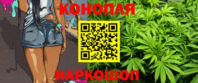 прущие крисы Беслан