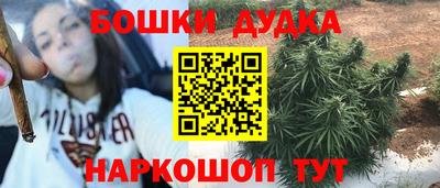 тгк Бийск