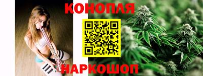 тгк Бийск