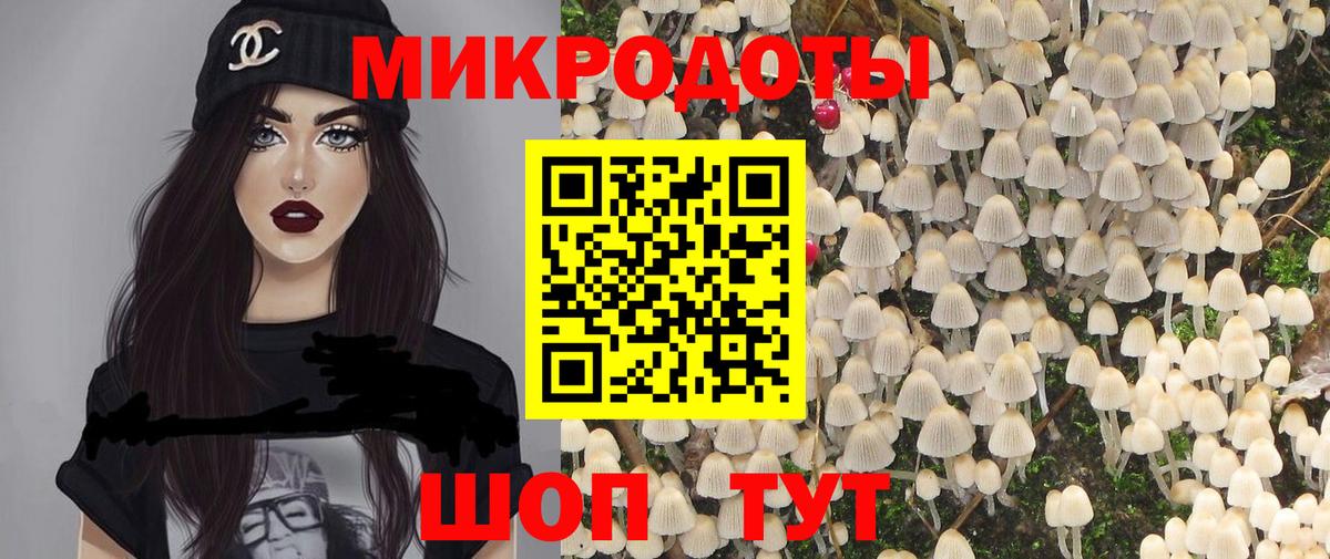 Елизово  Галлюциногенные грибы Psilocybe  Вход с VPN  Псилоцибиновые грибы GOLDEN TEACHER 