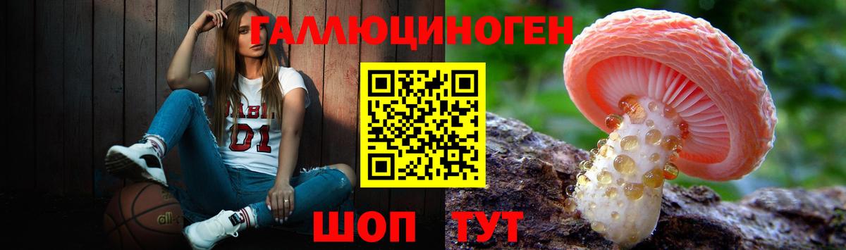 купить наркотик  Елизово  Псилоцибиновые грибы мицелий  Псилоцибиновые грибы Magic Shrooms 